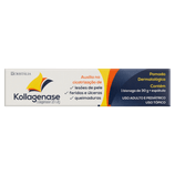 Kollagenase 0,6u/g - 1 Pomada Dermatológica